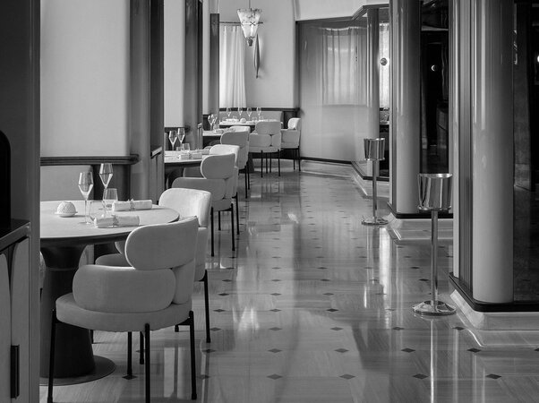 VIVANT by Johnny Pham