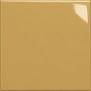 Ceramic Ceramic glossy Mango
