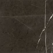 Marbles Grey Stone Glossy Marble