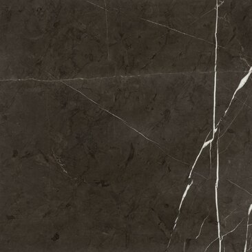 Grey Stone Glossy Marble | © Meridiani | All Right Reserved