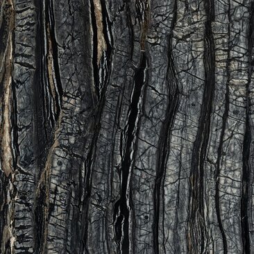 Kenya Black Glossy Marble | © Meridiani | All Right Reserved